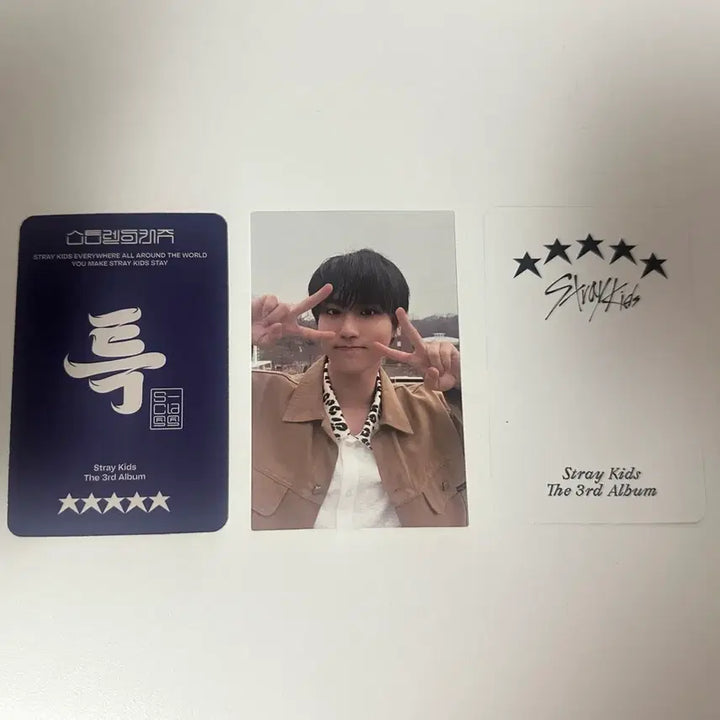[BUNJANG] Stray Kids Han Photocard Bundle Set / 스키즈 한 포카 양도