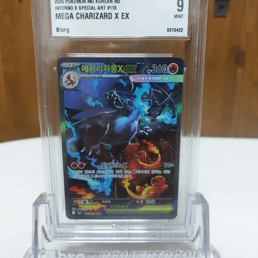[SOLD OUT] 메가 리자몽 X SAR BRG9