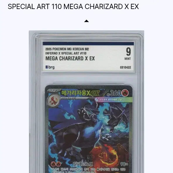 [SOLD OUT] 메가 리자몽 X SAR BRG9