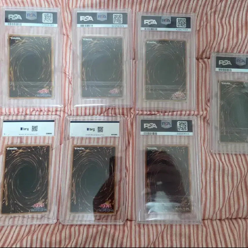 [BUNJANG] PSA 9 Yu-Gi-Oh! Black Magician Girl Graded Cards / psa9) 포켓몬 유희왕 블랙매지션걸 블매걸 등급카드