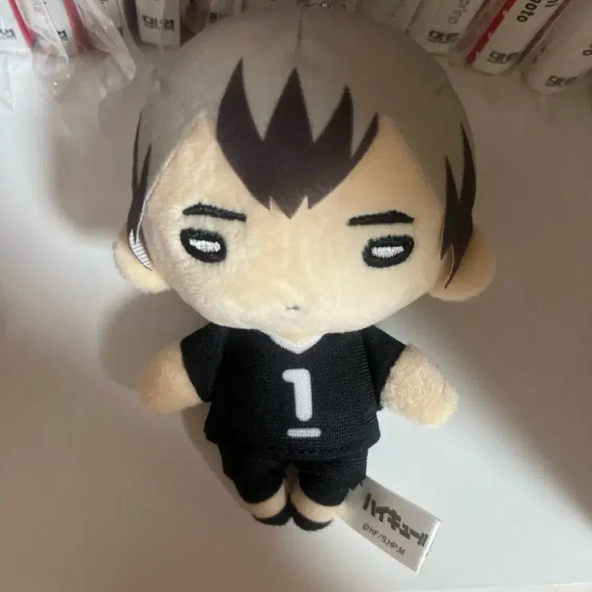 [BUNJANG] Haikyuu!! Shinsuke Kita Nitotan Plush / 하이큐! 키타 신스케 니토탄