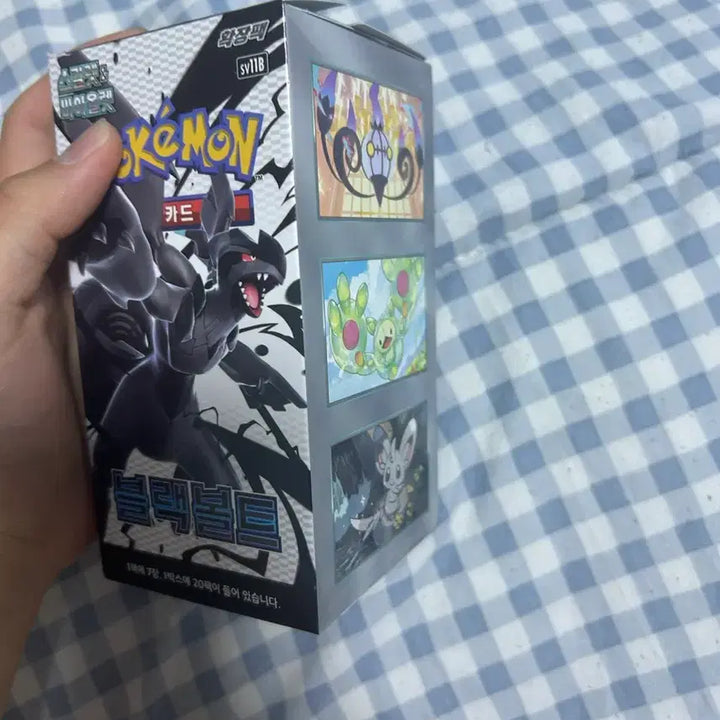 [SOLD OUT] 포켓몬카드 블랙볼트 낱팩