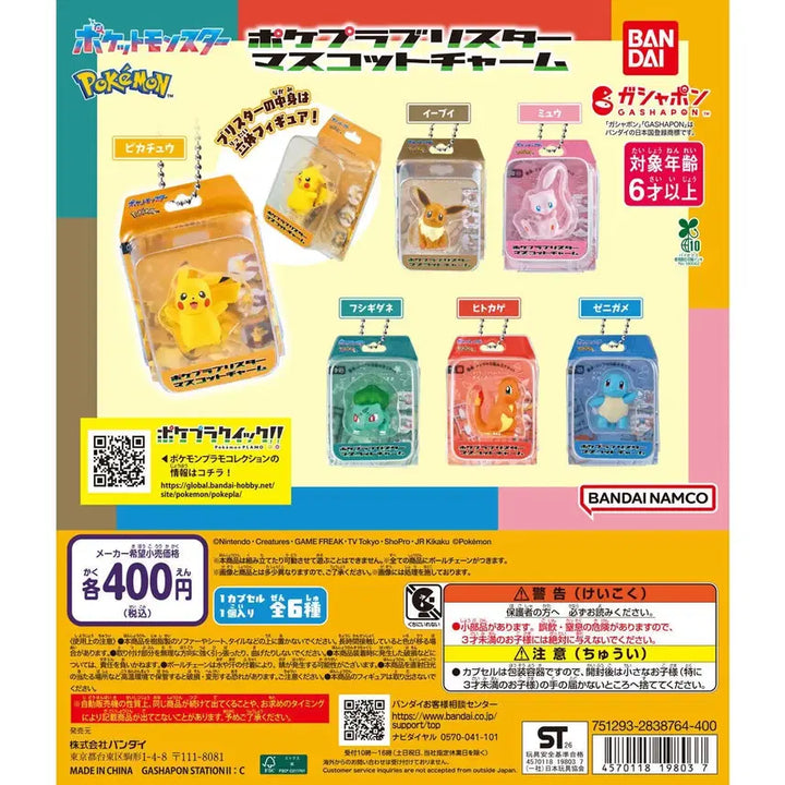 [BUNJANG] Pokemon Squirtle Gacha / 포켓몬스터 꼬부기 가챠