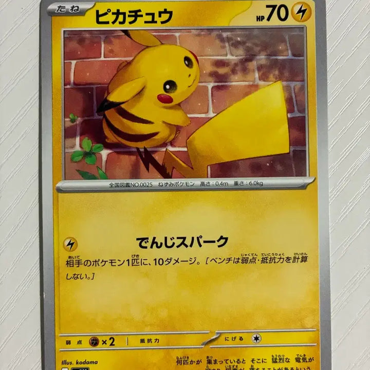[BUNJANG] Pokemon Card Japanese Pikachu / 포켓몬카드 일판 피카츄