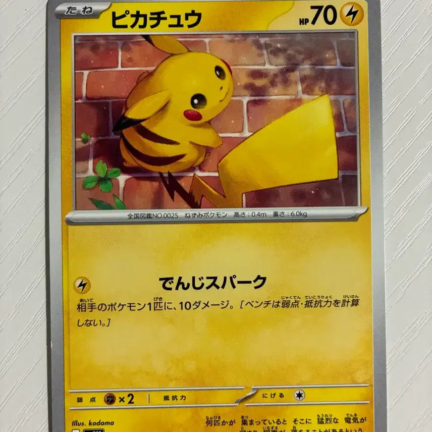 [BUNJANG] Pokemon Card Japanese Pikachu / 포켓몬카드 일판 피카츄