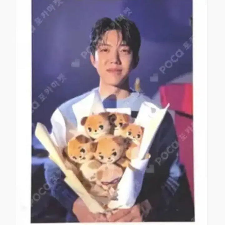 [BUNJANG] Day6 Dowoon 2025 Concert Photocard Set (Sealed) / 원가양도)데이식스 도운 2025 클콘 포토세트 미개봉 새상품