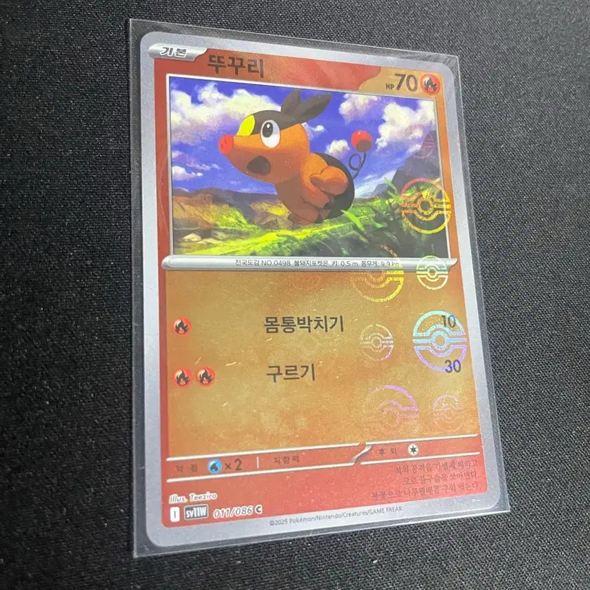 [BUNJANG] Pokemon Card Tukkoori Monster Ball Rare / 포켓몬카드 뚜꾸리 몬스터볼 레어