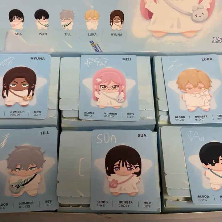 [BUNJANG] A-Stage Starfish Plush Doll Bundle Set / 에이스테 스타피쉬 봉제인형 일괄