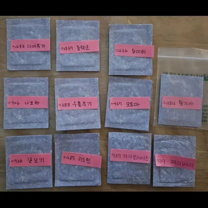 [BUNJANG] Pokemon 2023 Generations 3, 4, 9 Full Set / 포켓몬 2023 뉴 3.4.9세대