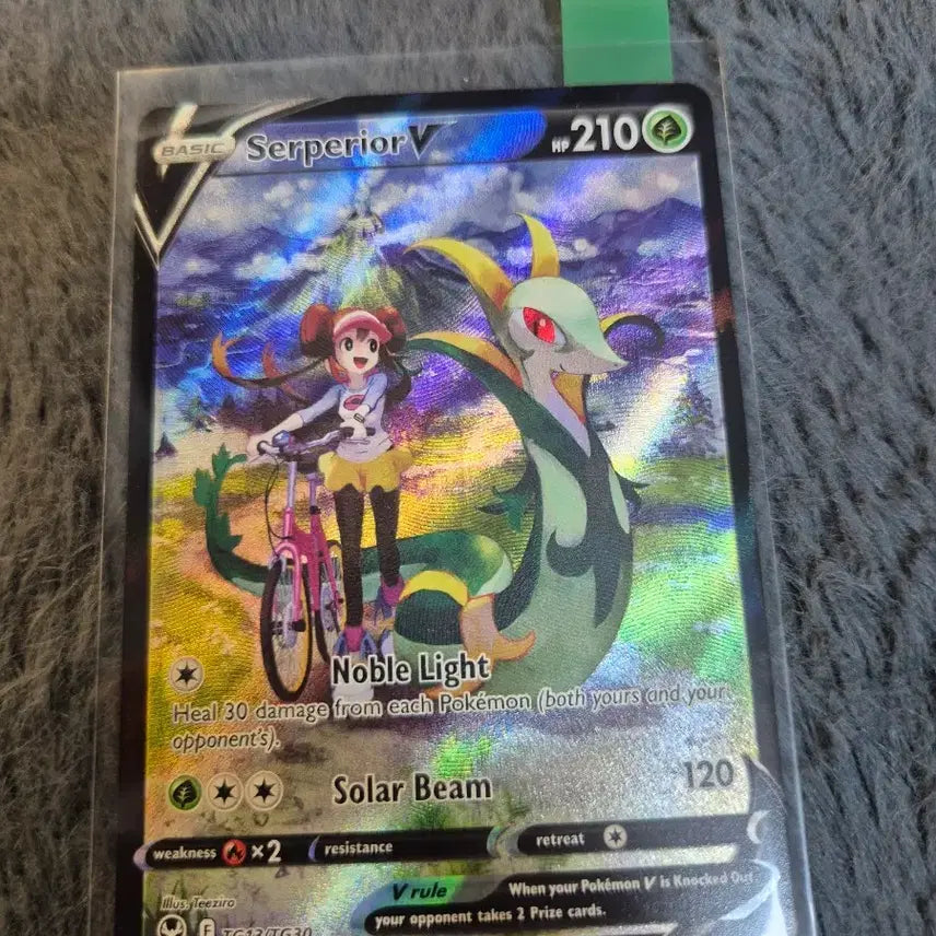 [BUNJANG] Pokemon Card Charizard CSR (North America) &amp; 1st Gen Starter Set (Japan) / 포켓몬카드 북미 샤로다csr