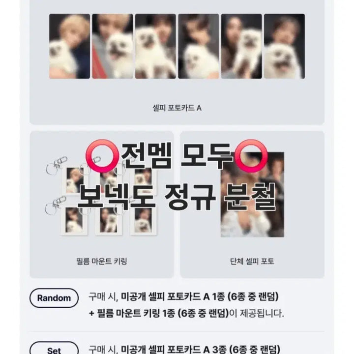 [BUNJANG] BOYNEXTDOOR Regular Album Split Set Photocard (Seongho, Riwoo, Taesan, Ian, Jaehyun, Leehan, Yunhak) POB / 최저가 보넥도 정규앨범 분철 성호 리우 이한 재현 태산 운학 특전 미개봉