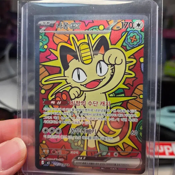 [BUNJANG] Pokemon Cards / 포켓몬카드