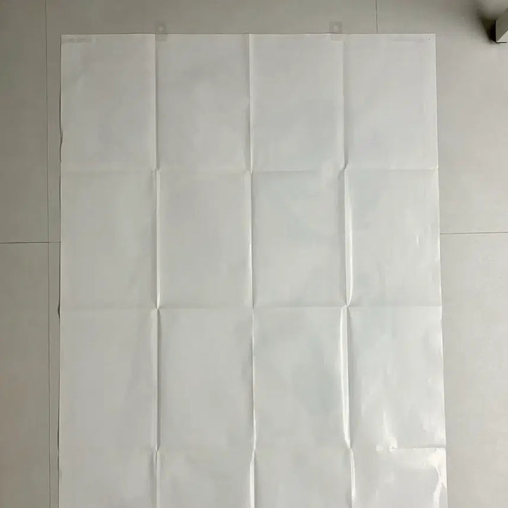 [BUNJANG] Evangelion Young Ace Bonus Rei Asuka B1 Large Poster / 에반게리온 영에이스 부록 레이 아스카 b1 대형 포스터