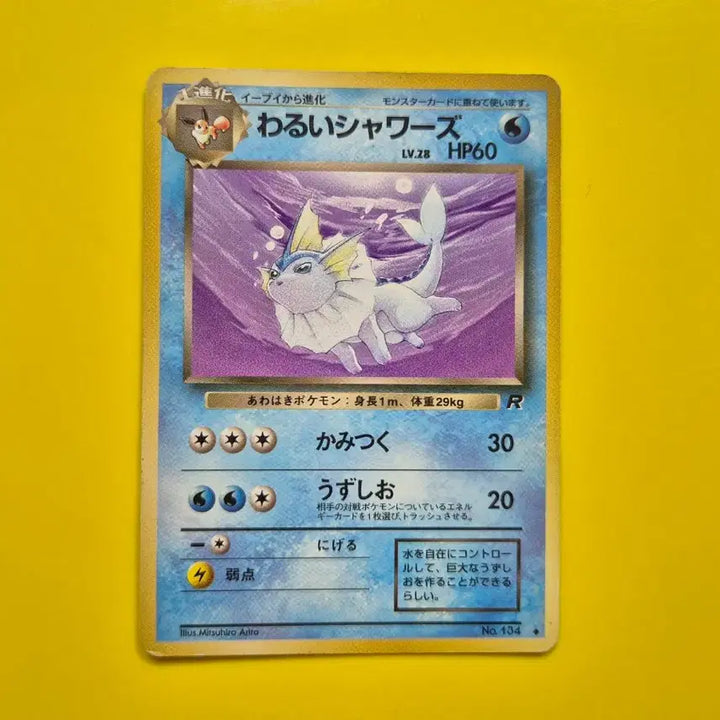 [BUNJANG] Pokemon Card 1996 Eevee Evolutions Team Rocket First Edition Set / 포켓몬카드 1996 이브이 나쁜 부스터 쥬피썬더 샤미드 로켓단 초판 2
