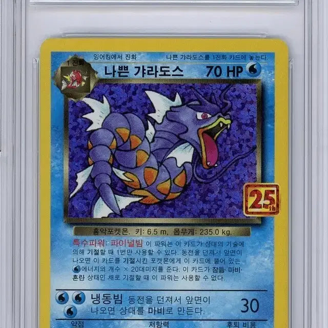 [BUNJANG] Pokemon 25th Anniversary Red Gyarados BRG9 / 포켓몬카드 25주년 나쁜 가랴도스 BRG9
