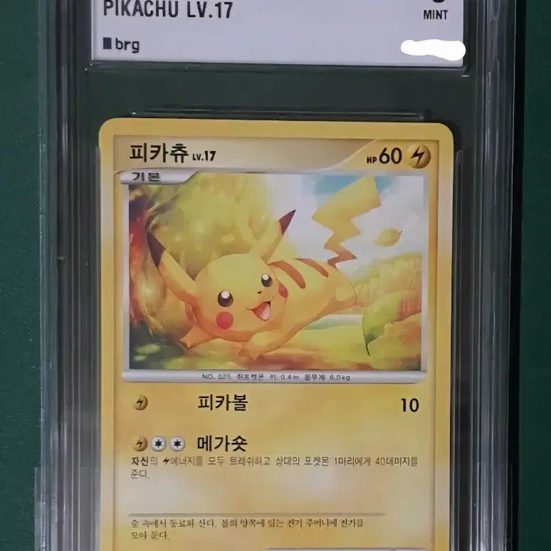 [BUNJANG] Pokemon Pikachu DP Promo BRG 9 / 포켓몬카드 피카츄 dp 프로모 BRG 9