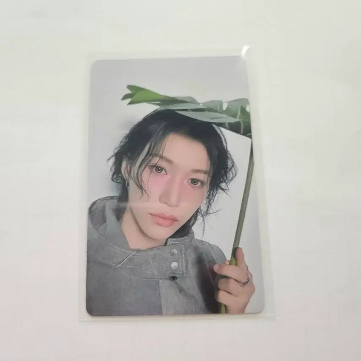 [BUNJANG] Stray Kids Felix Dominate Shizuoka Exclusive POB Photocard / 스트레이키즈 hollow 필릭스 도미네이트 시즈오카 회장한정 특전 포카