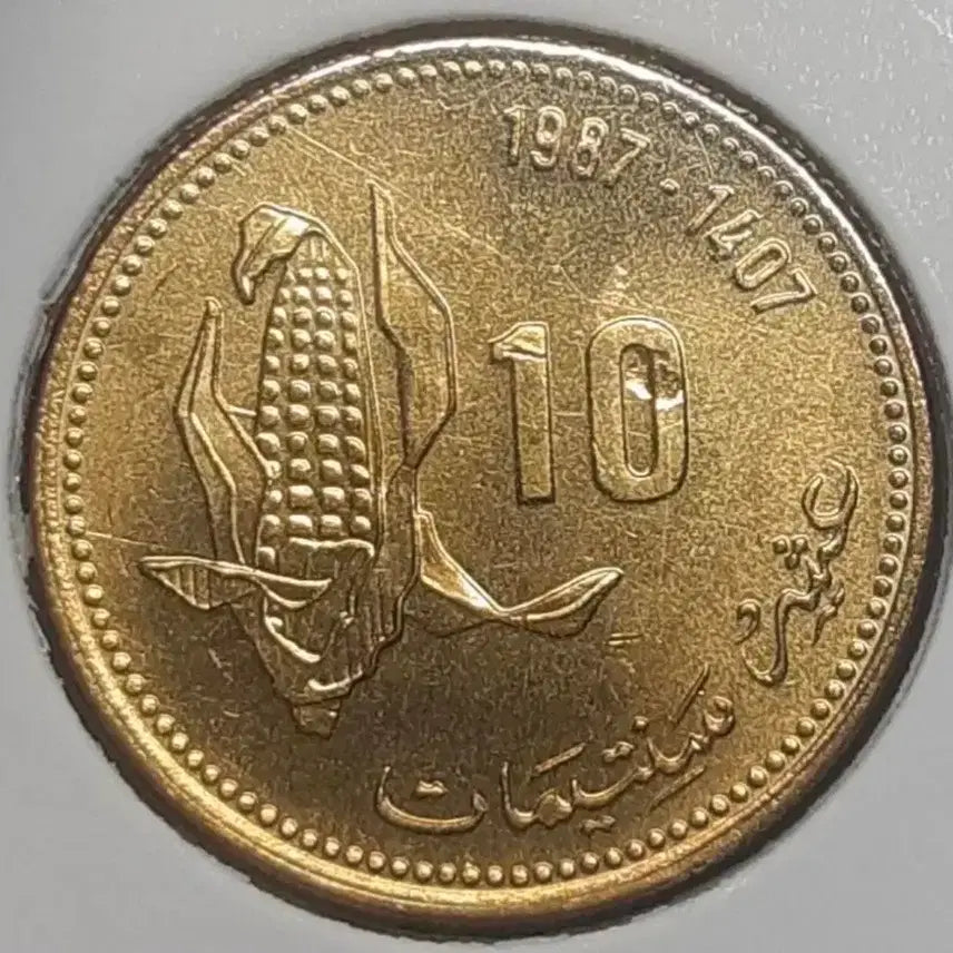 [BUNJANG] Morocco 1984 10 Dirham Coin / (소전에러)모로코 미사용 1984년 10디르함.외국주화 주화 화폐 동전