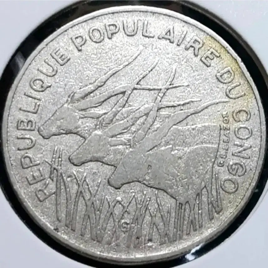[BUNJANG] 1972 Congo 100 Francs Coin / 콩고 1972년 100프랑.외국주화 주화 화폐 동전