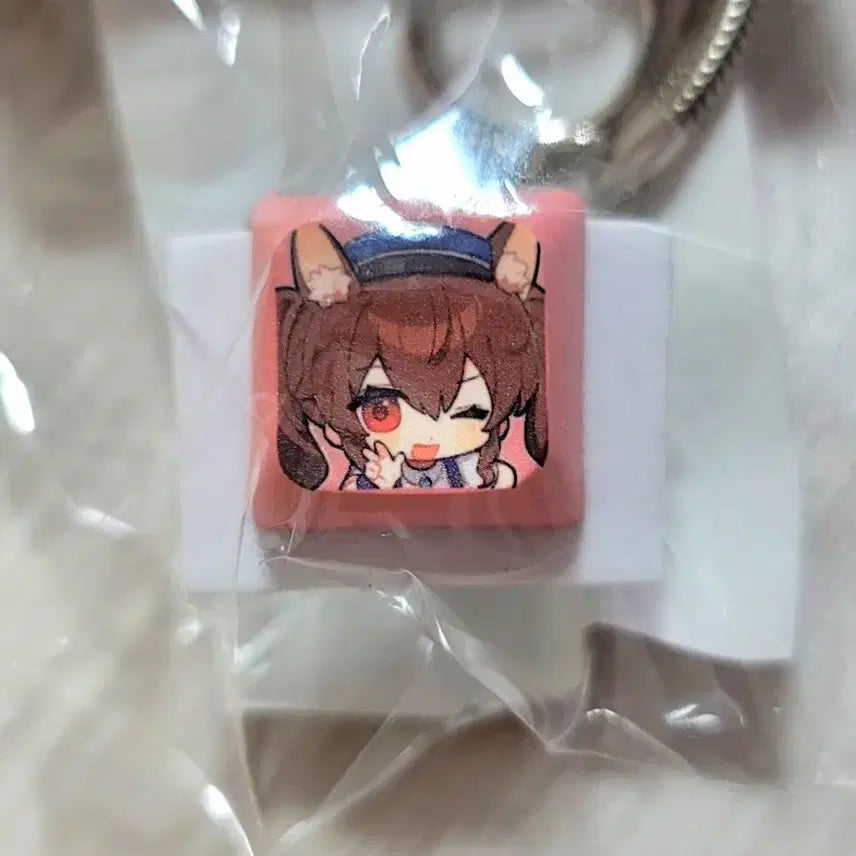 [BUNJANG] Endfield Gilbert Typewriter Keycap, Endfield Jangbang Typewriter Keycap Set / [개별판매] 장방이 키캡 2개 / 질베르타 키캡 1개 판매합니다!