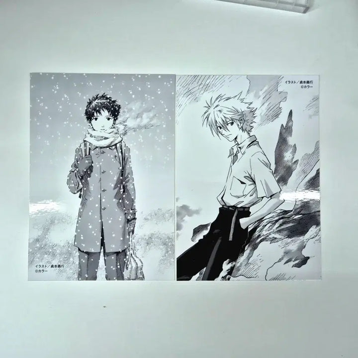 [BUNJANG] Evangelion Shinji &amp; Kaworu Unsealed Photocard / [미개봉]에반게리온 신지 나기사카오루 이카리신지 카오신