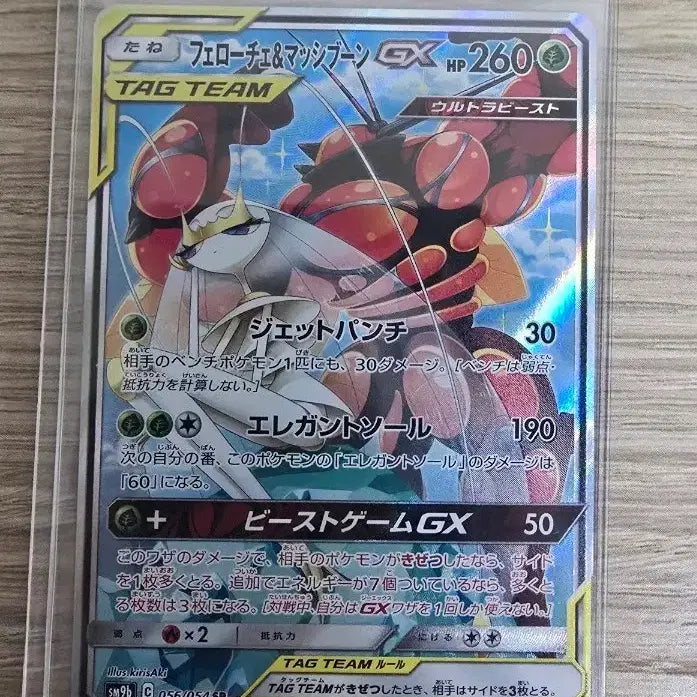 [BUNJANG] Ferrucci Mashibung Tag Team Special Edition Japanese Version / 페로코체 매시붕 태그팀 특일 일본판