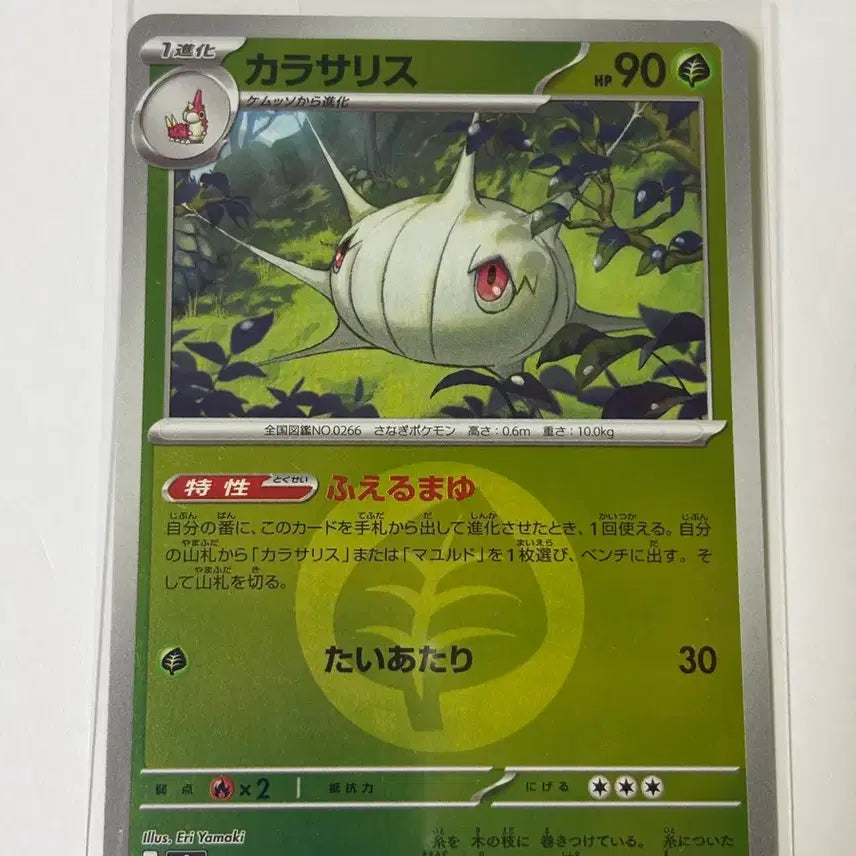 [BUNJANG] Pokemon Card - Caracross Holo / (일판) 포켓몬 카드 카라사리스홀로