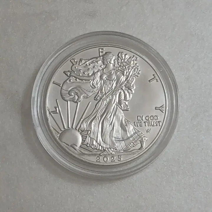 [BUNJANG] 2025 American Silver Eagle Uncirculated Coin / 미국 2025 실버이글 완전 미사용(UNC) 은화
