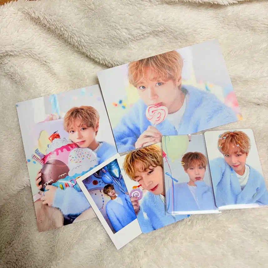 [SOLD OUT] (급전,일괄)박지훈 2025 생일카페 포토카드 포카 엽서 일괄