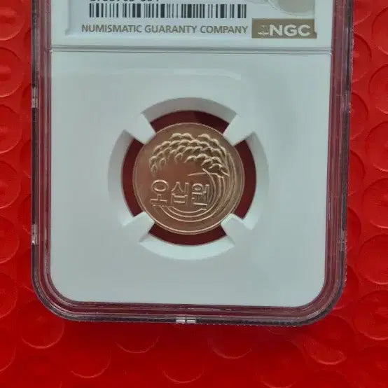 [BUNJANG] 1981 50th Anniversary Coin / 1981년 50주