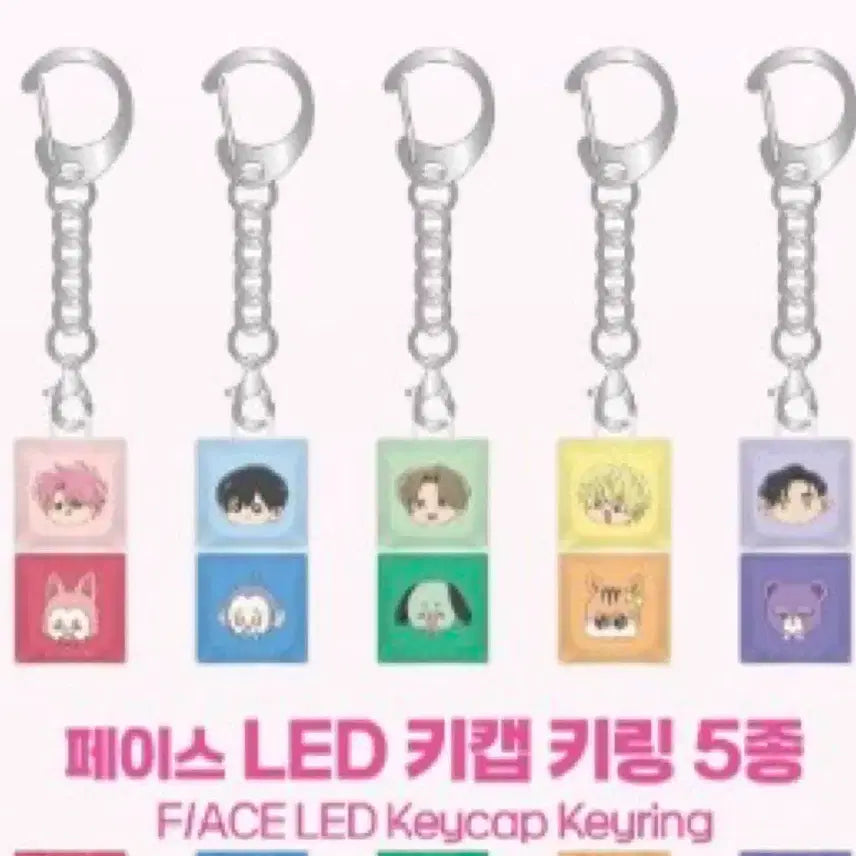 [BUNJANG] Tamon Chan Acrylic Keychain &amp; Fan Bundle / 타몬군 지금 어느 쪽