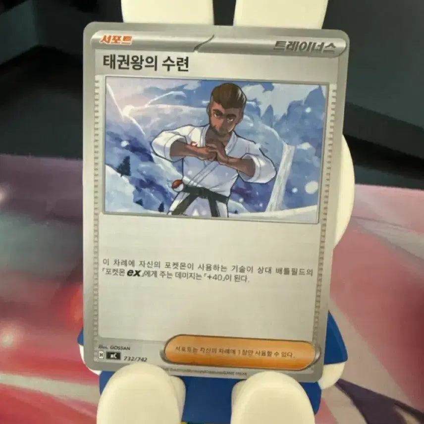[BUNJANG] Pokemon Card Korean Version Taekwon King&