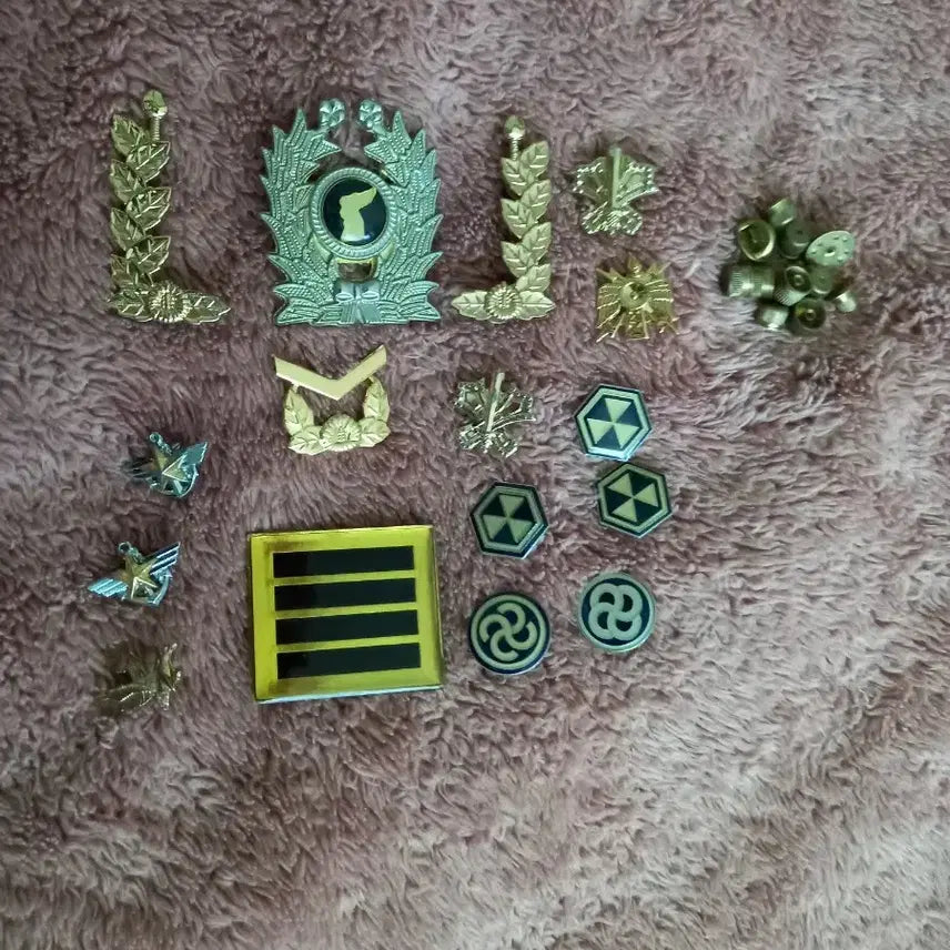 [BUNJANG] Military Branch, Rank, and Unit Badge Set / 군 뱃지 세트[병과,계급,부대]