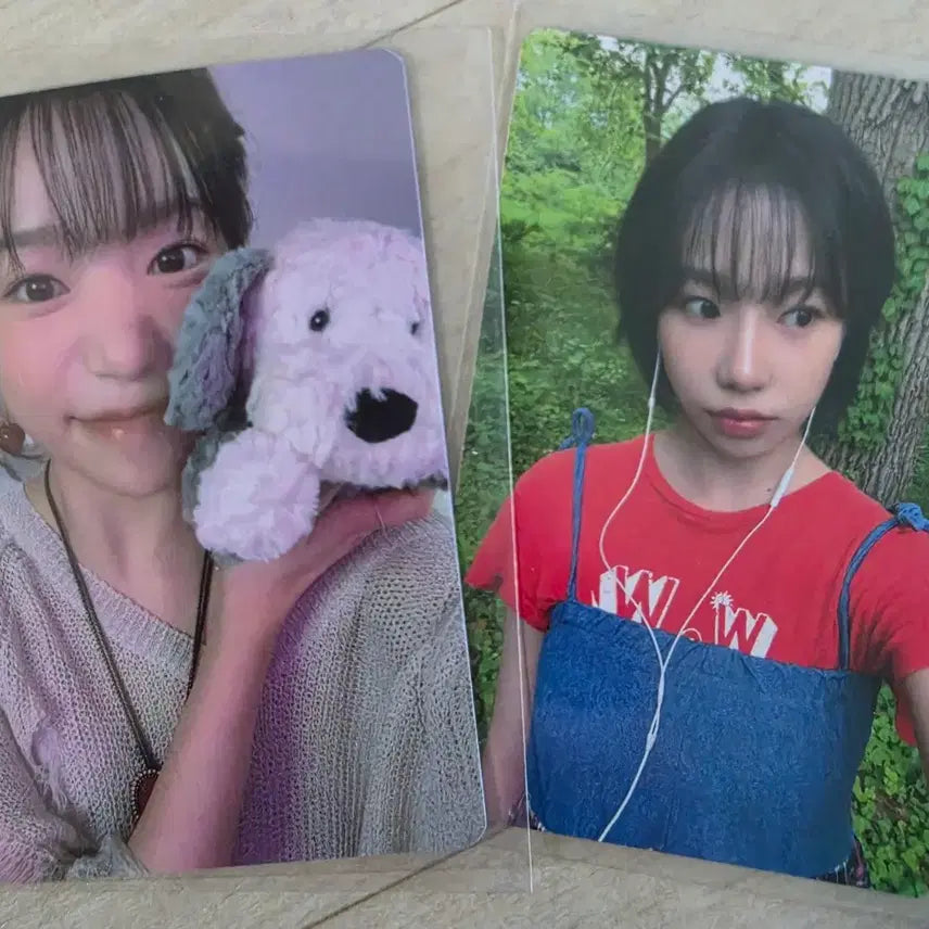 [BUNJANG] Jo Yuri Official Double-Sided Photocard &amp; Reverse Gift Cat Towel / 조유리 공방 양면포카+역조공 수건 고양이수건인형