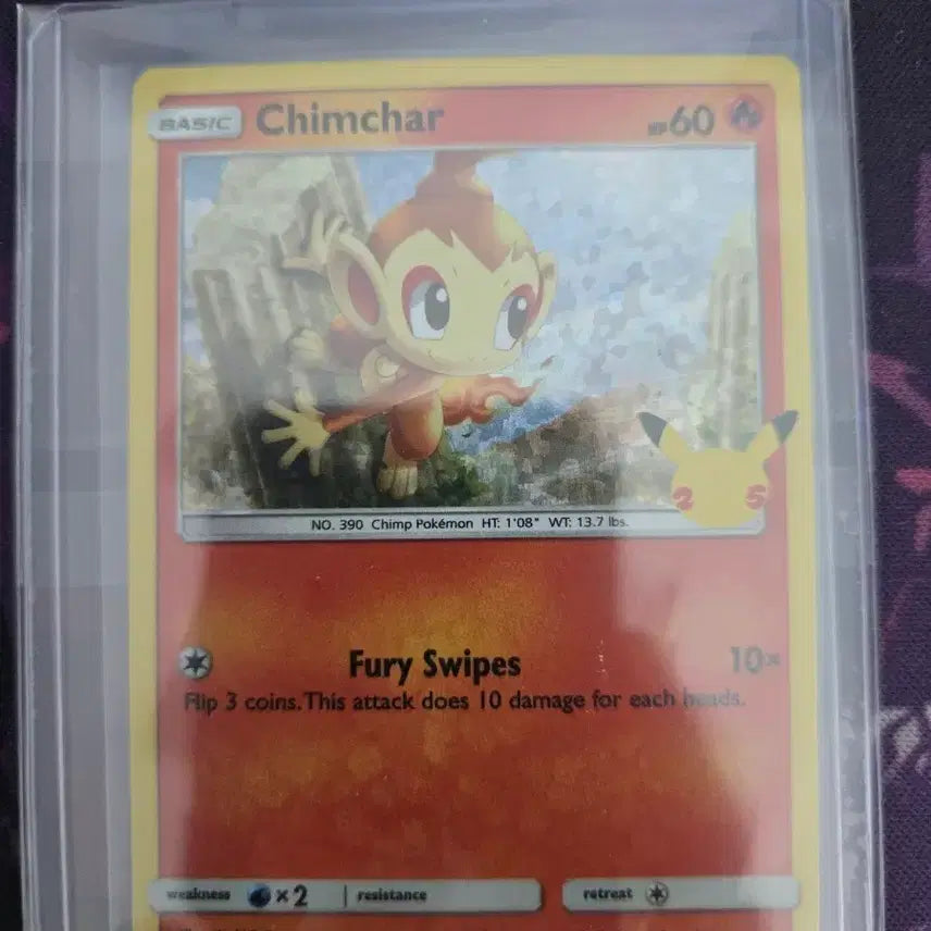 [BUNJANG] Pokemon 25th Anniversary Typhlosion Graded English Edition Card / 포켓몬 카드  25주년 불꽃숭이 영문판 등급용