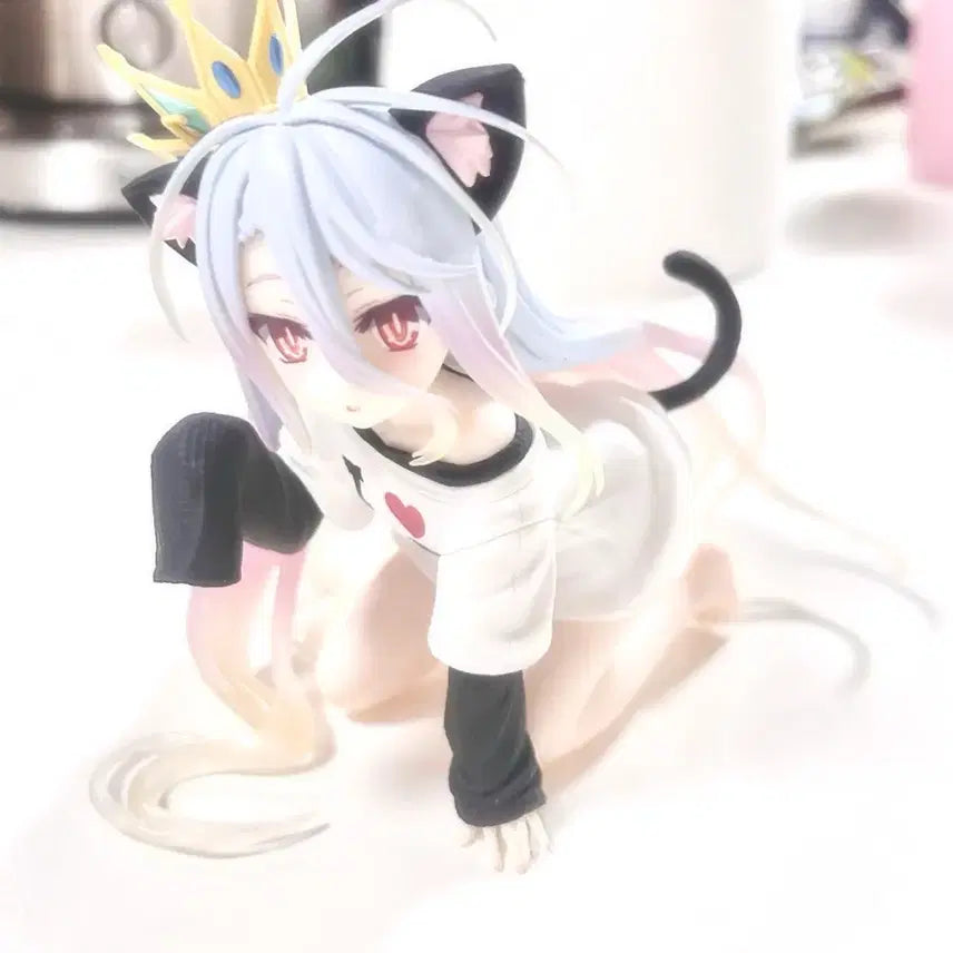 [BUNJANG] No Game No Life Shiro Figure by Taito / 노게임 노라이프 시로 타이토 피규어