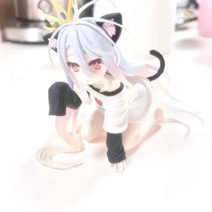 [BUNJANG] No Game No Life Shiro Figure by Taito / 노게임 노라이프 시로 타이토 피규어