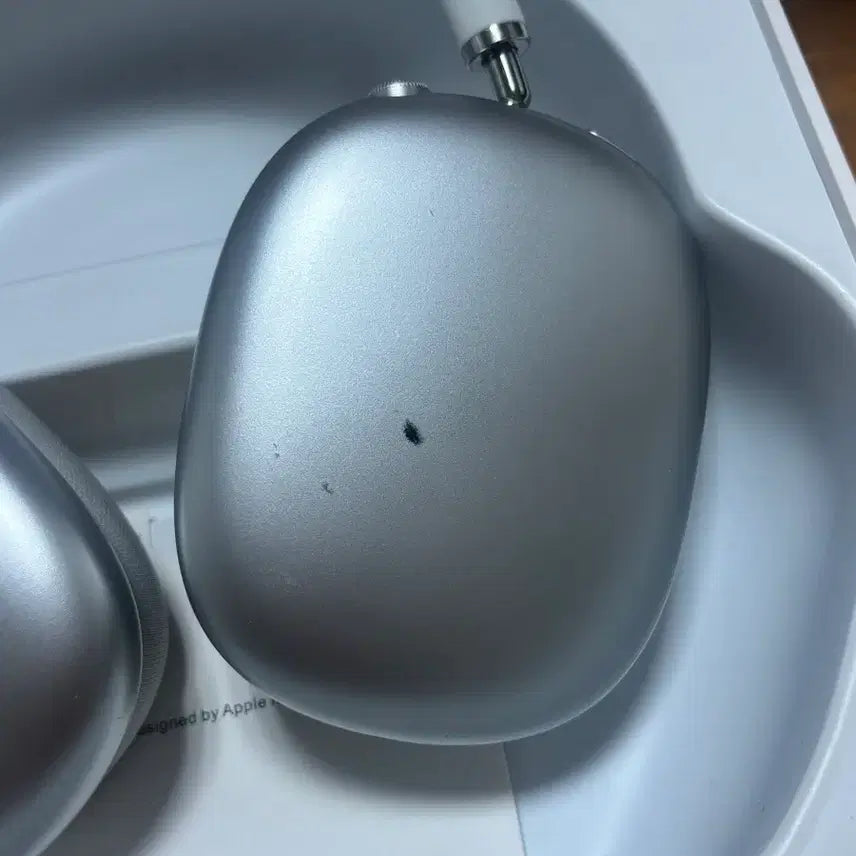 [BUNJANG] Apple AirPods Max Headphones / 차이팟 맥스