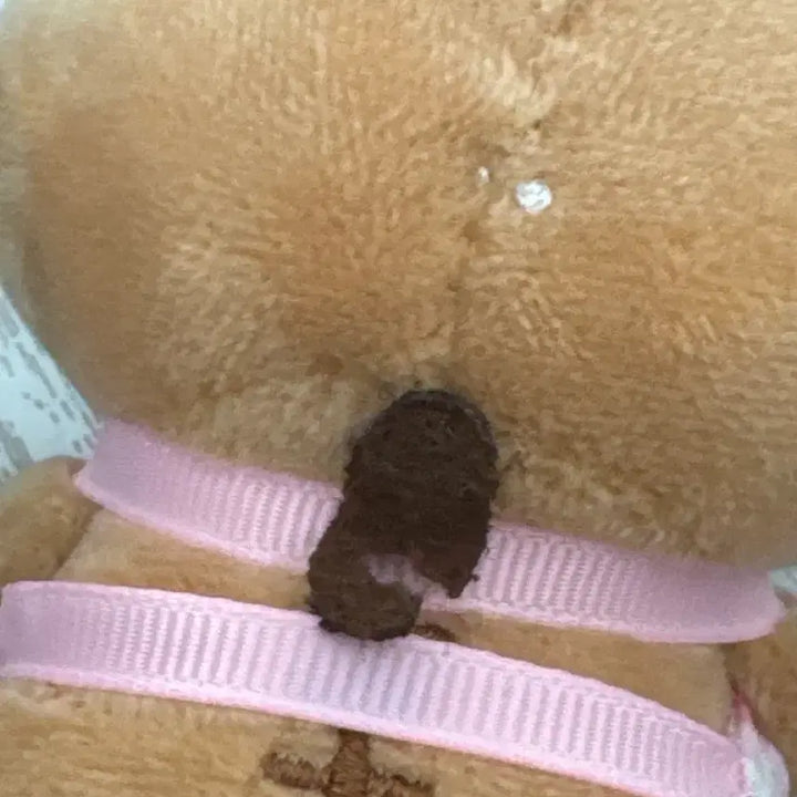 [BUNJANG] Mameharu Shopkeeper Series Rilakkuma Plush / (고전)마메하루 점장시리즈 인형 팝니다 리락쿠마