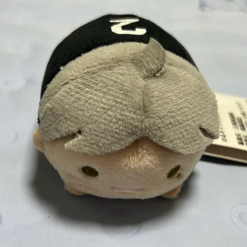 [BUNJANG] Haikyuu!! Sugawara Koushi Noru Character Mascot Plush / 하이큐 스가와라 코우시 노루캬라마스코트 누이