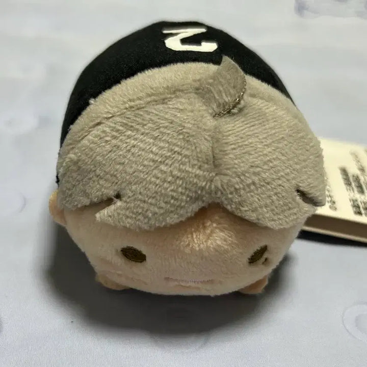 [BUNJANG] Haikyuu!! Sugawara Koushi Noru Character Mascot Plush / 하이큐 스가와라 코우시 노루캬라마스코트 누이
