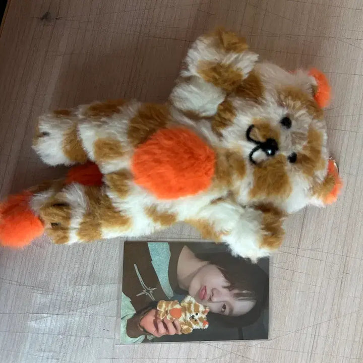 [BUNJANG] BOYNEXTDOOR Park Sungho 1st Gen Cat-P Photocard / (급처) 보넥도 보이넥스트도어 박성호 쁘넥도 캣삐 1기 양도 판매