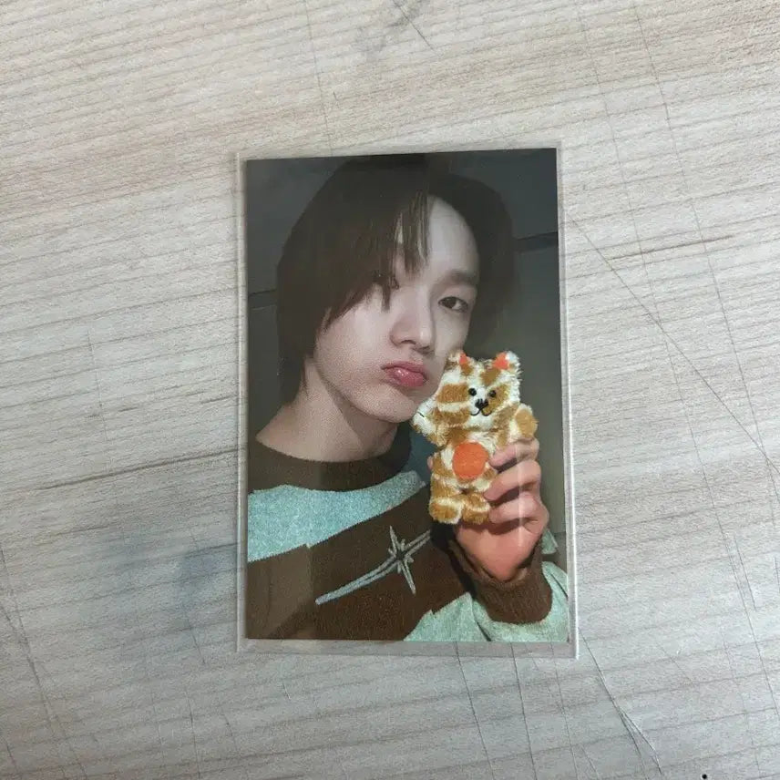 [BUNJANG] BOYNEXTDOOR Park Sungho 1st Gen Cat-P Photocard / (급처) 보넥도 보이넥스트도어 박성호 쁘넥도 캣삐 1기 양도 판매