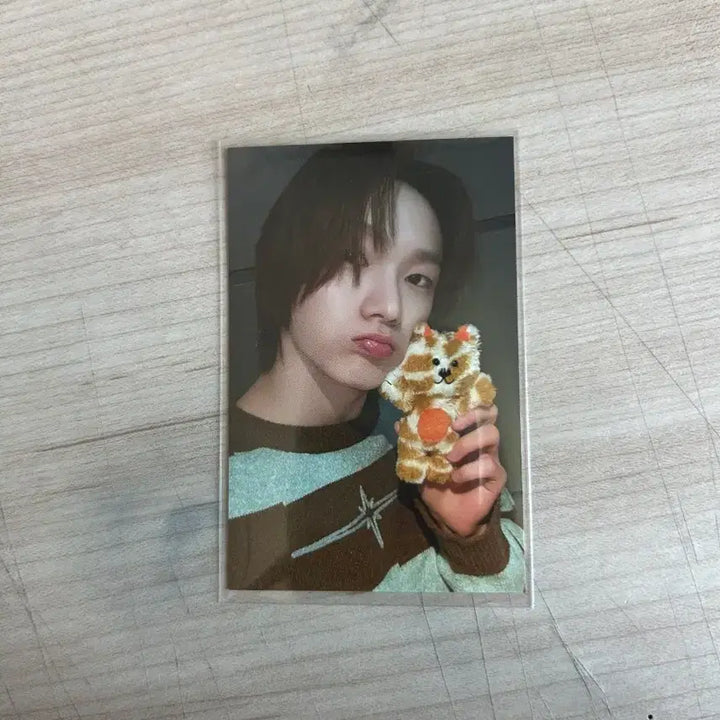 [BUNJANG] BOYNEXTDOOR Park Sungho 1st Gen Cat-P Photocard / (급처) 보넥도 보이넥스트도어 박성호 쁘넥도 캣삐 1기 양도 판매