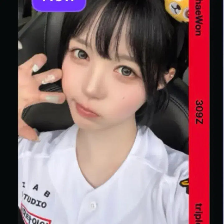 [BUNJANG] TripleS Chaewon Kia Fan-Favorite Digital Object CC309 / tripleS 트리플에스 채원 기아 승요 오브젝트 판매 양도