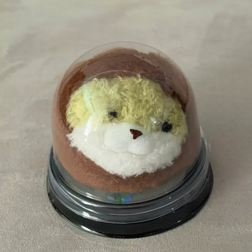 [BUNJANG] Doojoon Kujukusu Chan Doll Keychain / 두쫀쿠 우소우소짱 인형 키링