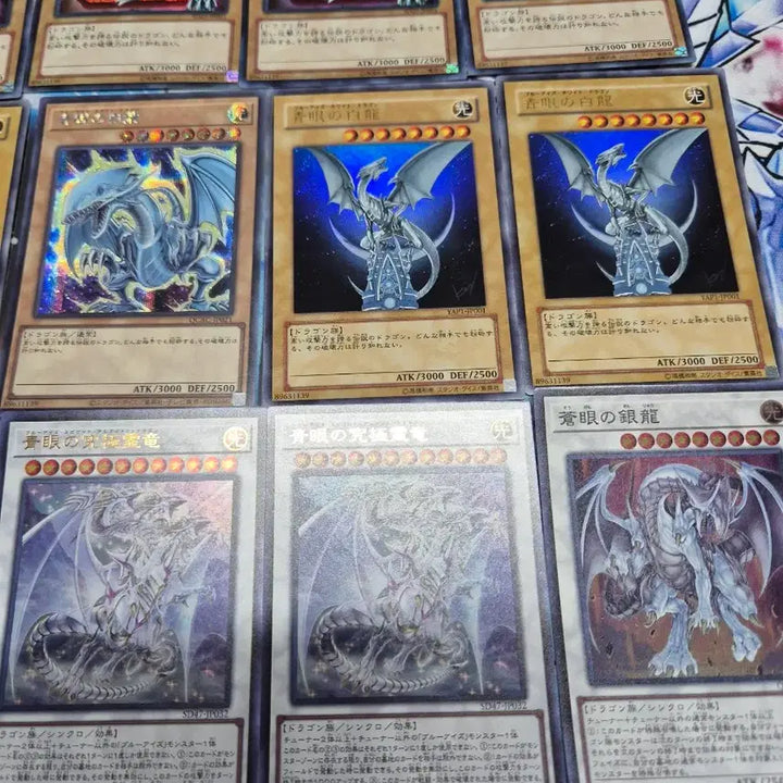 [BUNJANG] Yu-Gi-Oh! Japanese Blue-Eyes White Dragon Card Set / 유희왕 일본판 푸른눈의백룡 카드 세트