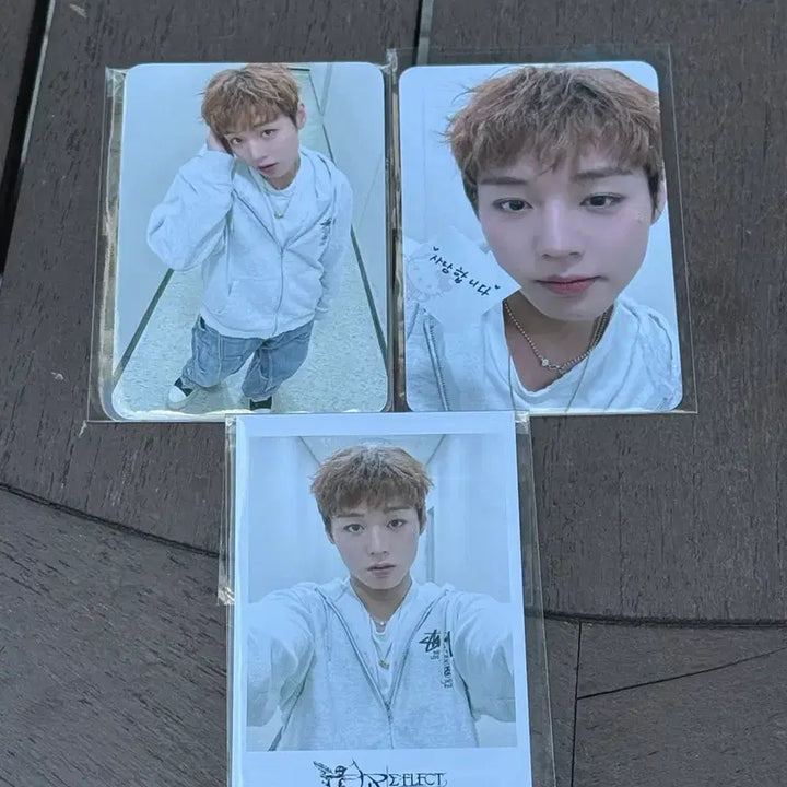 [BUNJANG] Park Ji Hoon Reflect Fancon MD T-Shirt Photocard / 박지훈 리플렉트 팬콘 엠디 티셔츠 5만원 10만원 폴라 포카
