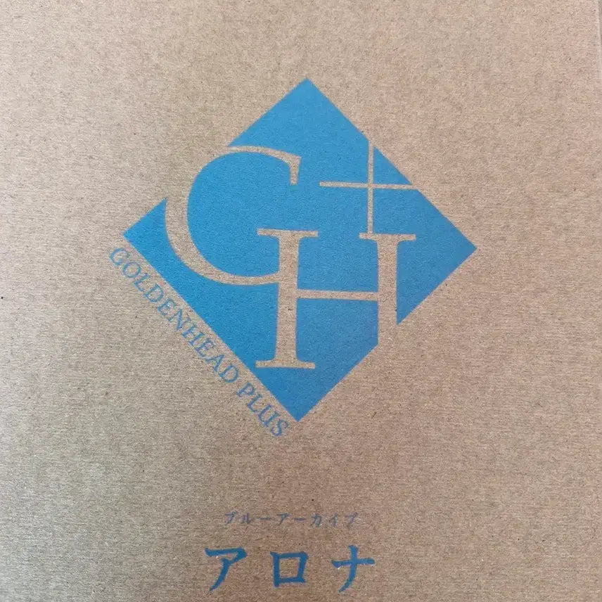 [BUNJANG] Golden Head Blue Archive Arona Scale Figure (POB) / 골든헤드 블루아카이브 아로나 스케일 피규어 (특전)