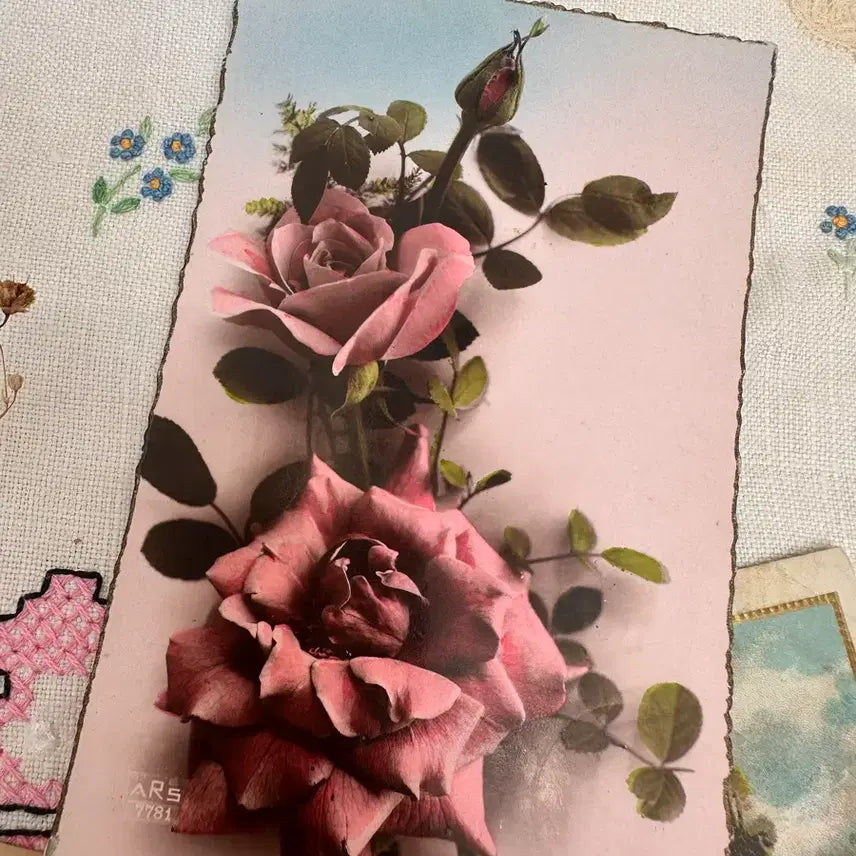 [BUNJANG] Vintage Postcards Calligraphy Set - 3 Pieces / 빈티지엽서 필기체 3장묶음